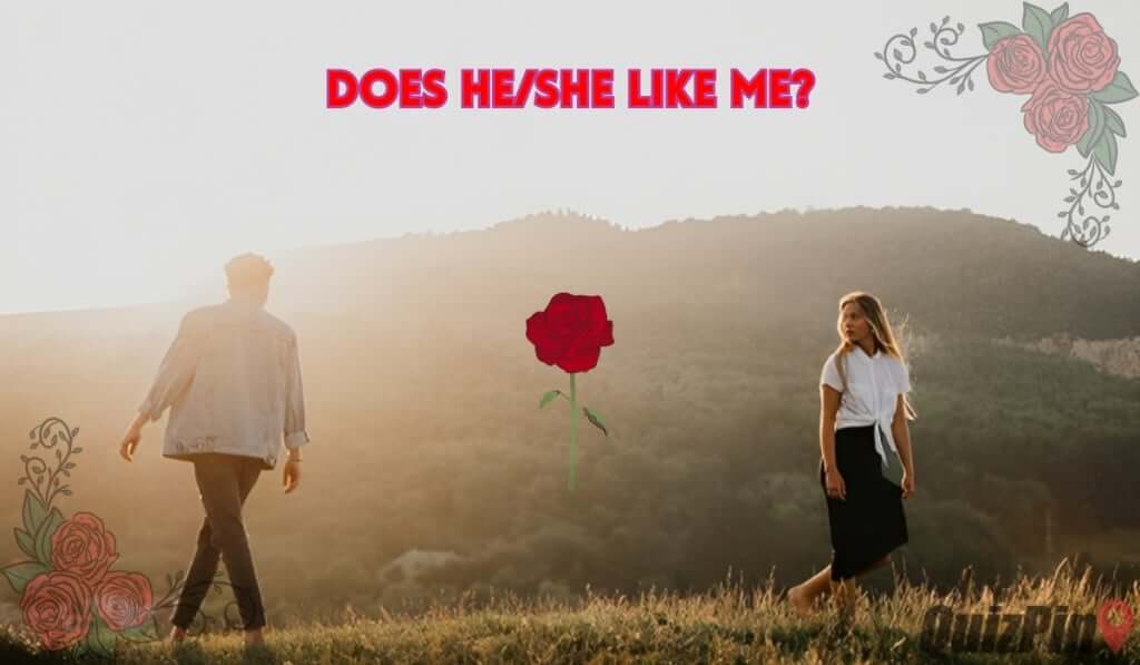Does He/She Like Me Quiz