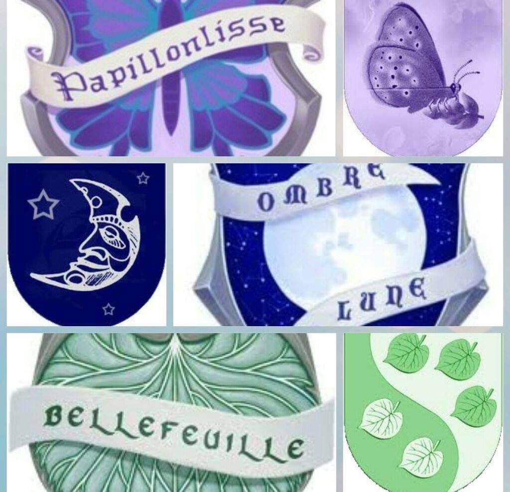 Beauxbatons Sorting Quiz & Which Beauxbatons House Are You In? QuizPin