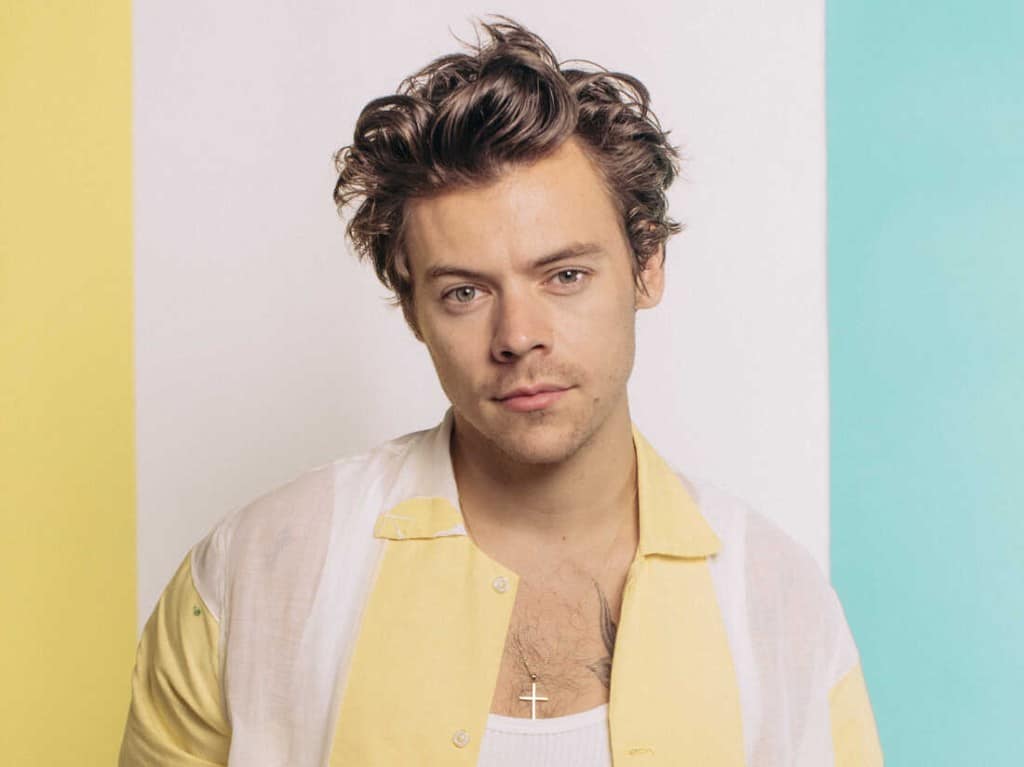 Harry Styles Quiz - Which Harry Styles Song Are You? | QuizPin