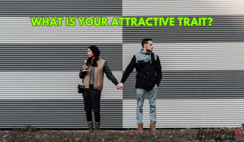 What Is Your Attractive Trait Quiz